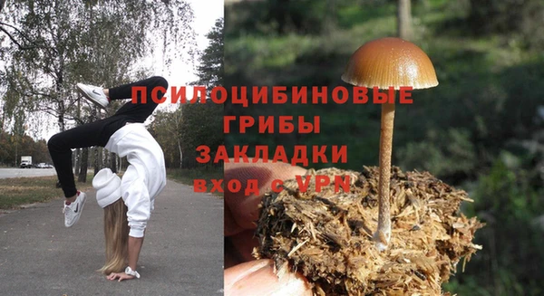MESCALINE Баксан