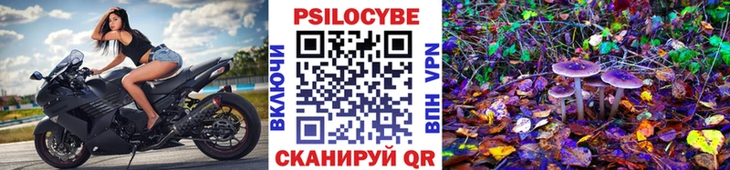 Галлюциногенные грибы ЛСД  Купить  Новоаннинский 
