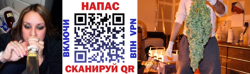 Купить  Новоаннинский  Шишки марихуана семена 
